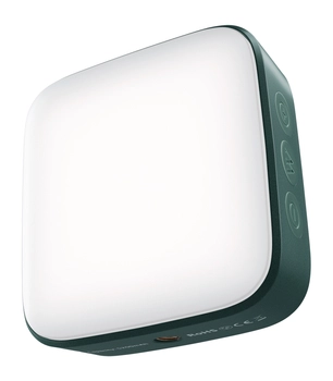 Newell lampa LED Campina - zielona