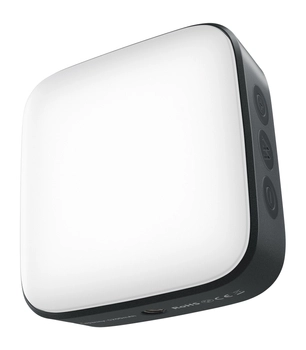 Newell Lampa LED Campina - grafitowa