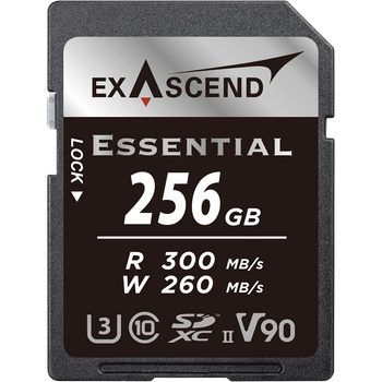 Karta pamięci SD ExAscend Essential UHS-II V90 256GB